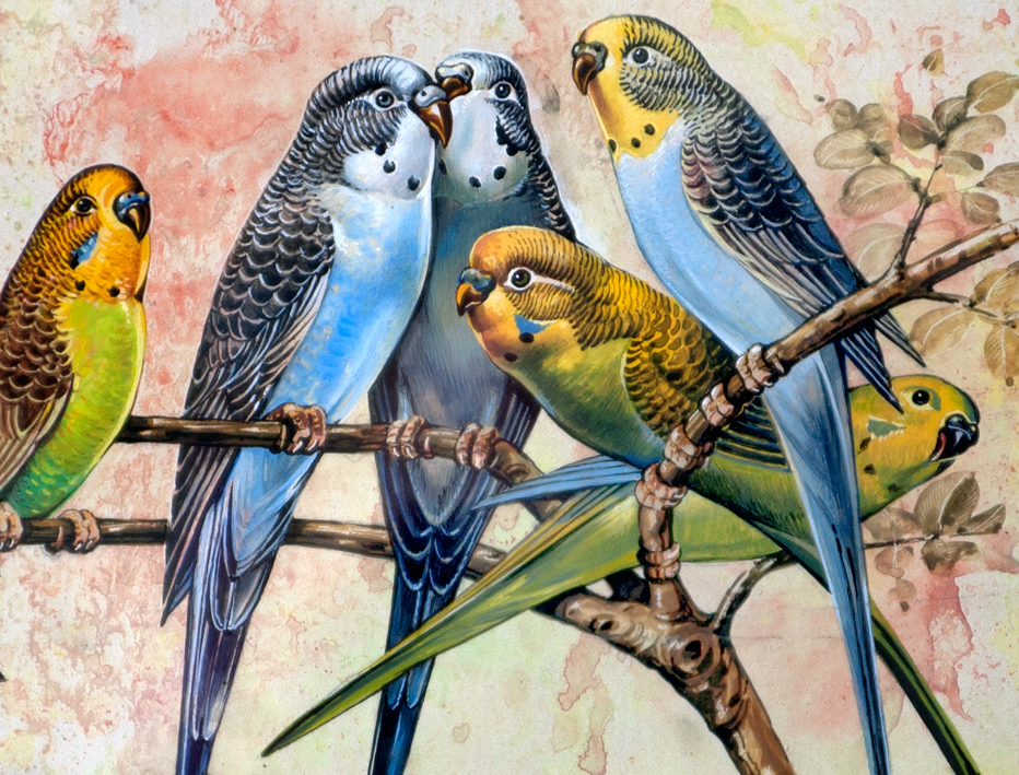 P�ssaros (pormenor)