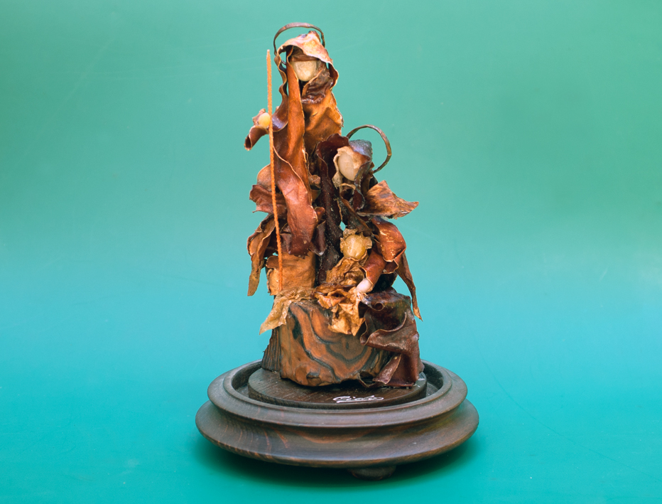 Pres�pio. Sarga�o, godos e conchas