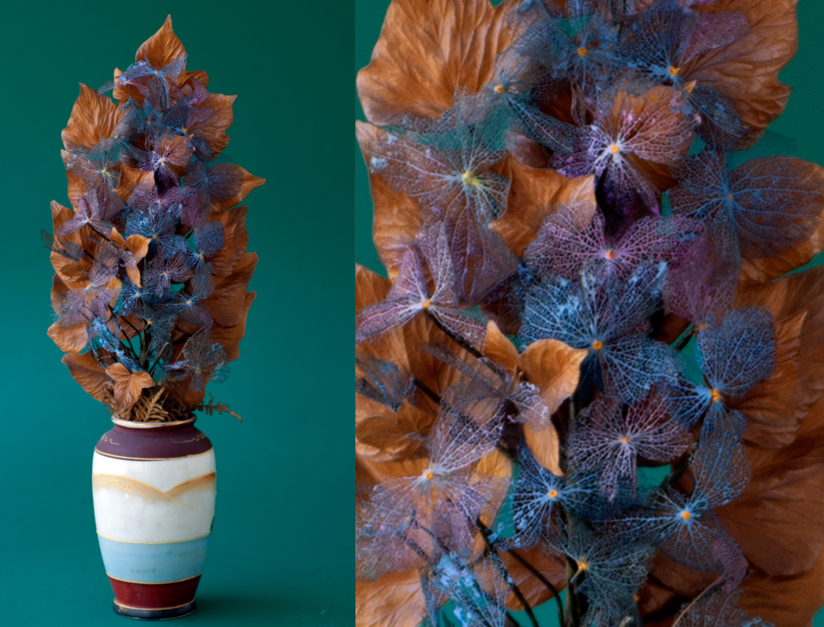 Palmitos de flores campestres