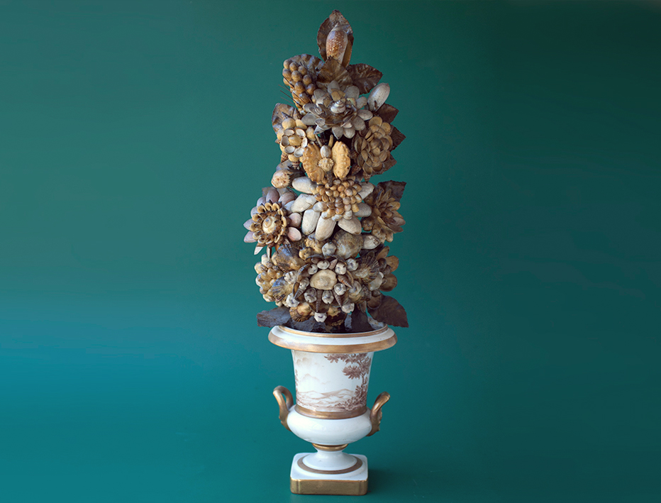 Palmito de conchas, carapa�as de caranguejo, cipreias