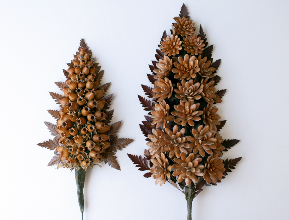 Palmitos de sementes