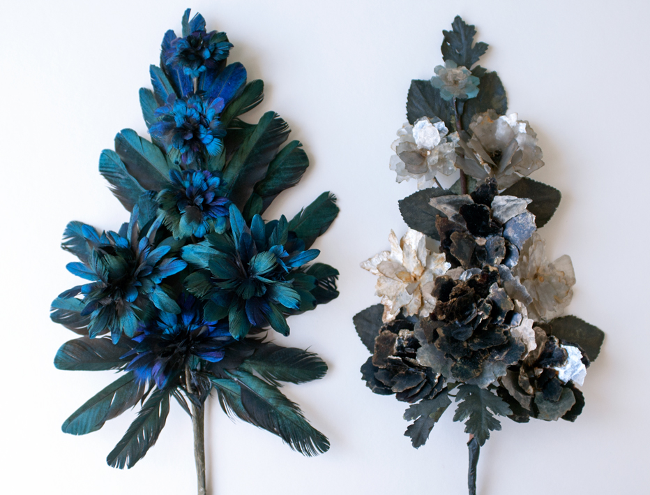 Palmito de penas. Palmito de mica