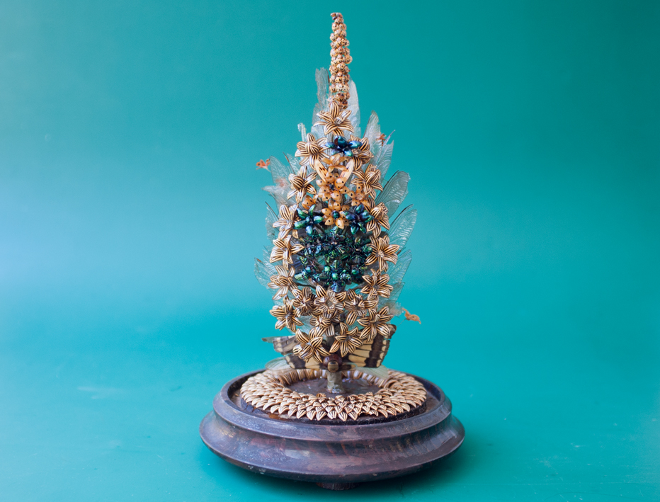 Palmito de asas de insetos